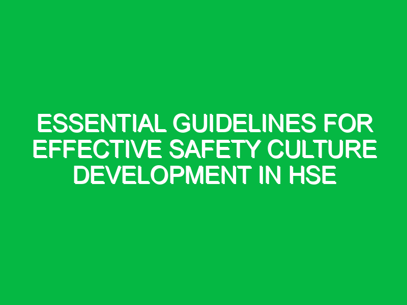 essential guidelines for effective safety culture development in hse 17996